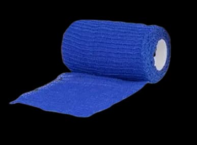 Bande Cohésive Bleue